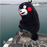 桉月|熊本熊 何以解忧唯有抱抱你