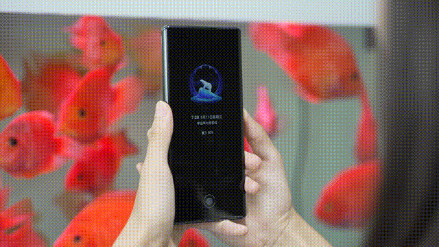 玉山 荣耀机皇「王炸」登场！5颗镜头性能彪悍，售价4599起