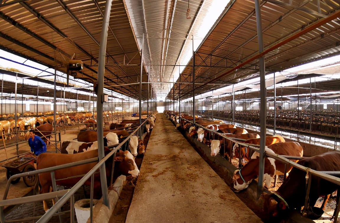 明明的国际日志 澳洲铁矿石连涨7个月，希望靠出口我国减少损失