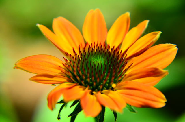 星座风水算命馆|未来3个月常能遇见贵人的生肖,好运加持,福来财到,喜气横生!