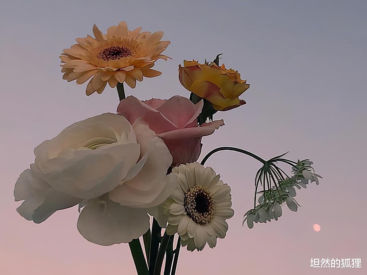 坦然的狐狸 人生有一种醒悟：别想太多，真的没有什么用