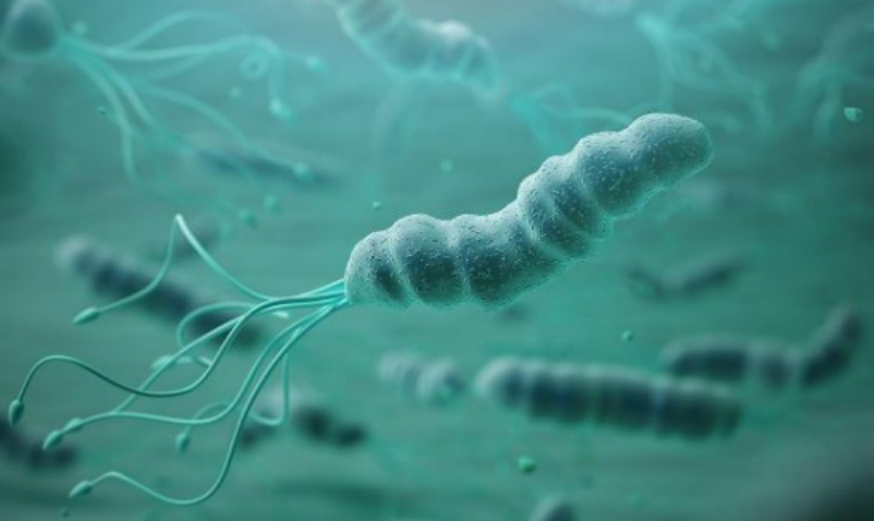 幽门螺杆菌|幽门螺杆菌的“对手”已公布,不是大蒜,饭后敞开吃,清幽养胃,胃舒坦