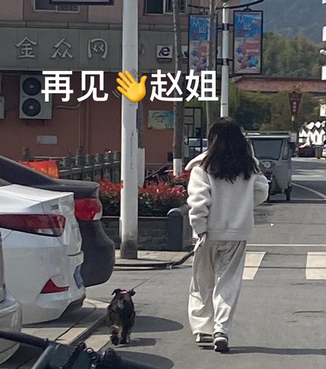 趙露思社區遛狗被粉絲偶遇，看她蹲下喂狗的姿勢：你可是個女明星-圖5