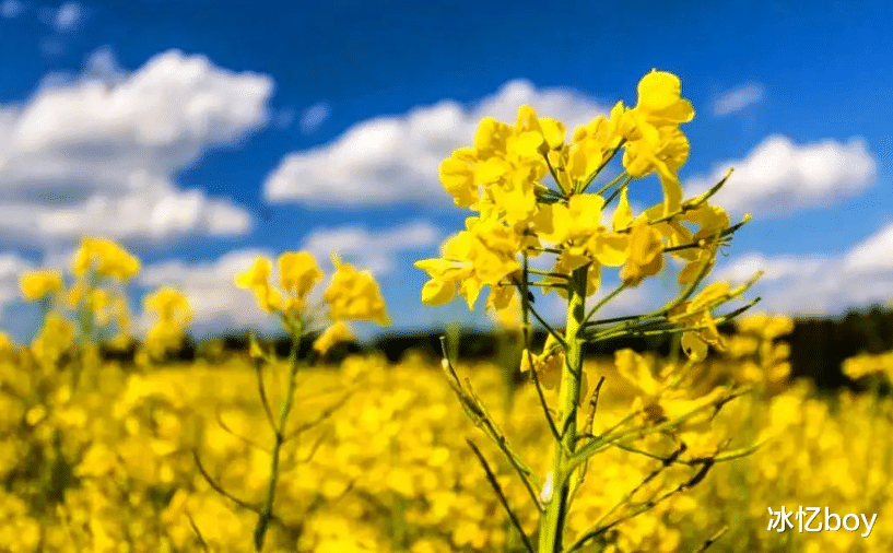 胃癌|胃不好的人，要自觉管住嘴：2种食物能不吃就不吃，尽量别轻视