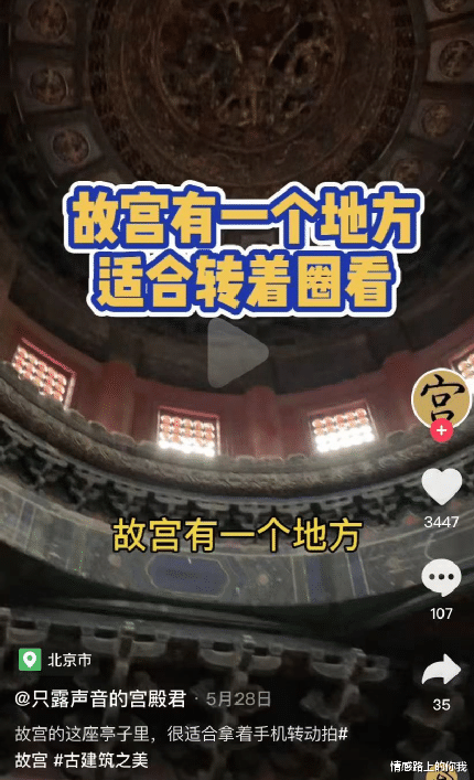 情感路上的你我|全网最火“网红县长”的短视频背后，藏着一个你不曾了解的世界
