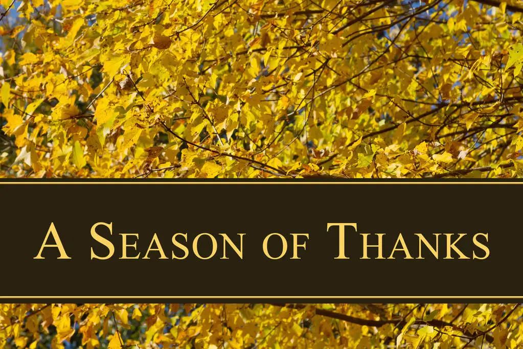 红豆|立秋之后有一伏,饮食这样注意好!