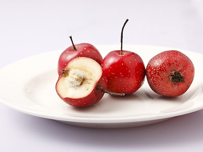 山楂|山楂糖葫芦—最初的治病良药