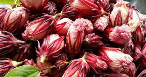 护肤|女人爱美要会吃，推荐以下食物，减肥护肤，远离妇科炎症