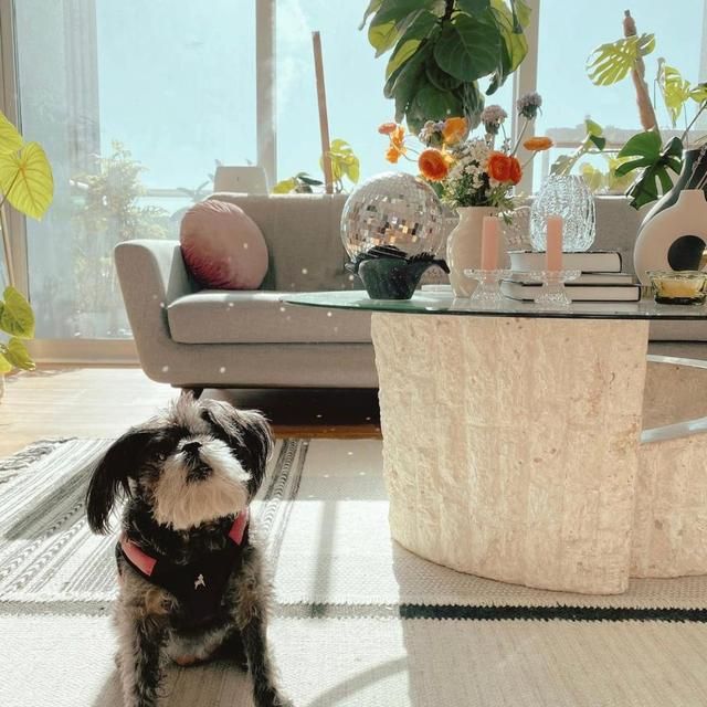 美国一女主的39平小家:全屋精致唯美,岁月静好,一点也不将就!