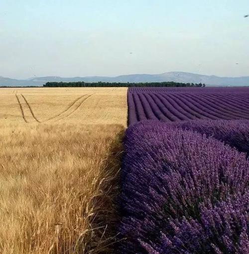 舜网 大自然也是厉害的PS大神！35张神级摄影图惊艳世人！！！