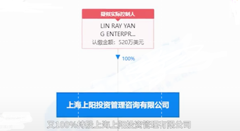 张庭|张庭夫妻跑路,作为第一自然人股东的徐峥夫妻能安然无恙吗?
