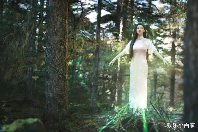 赵丽颖|《司藤》沈银灯结局是什么？她的真实身份一点都不简单