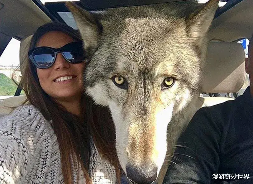 漫游奇妙世界|不比不知道，一只蝌蚪居然能长这么大