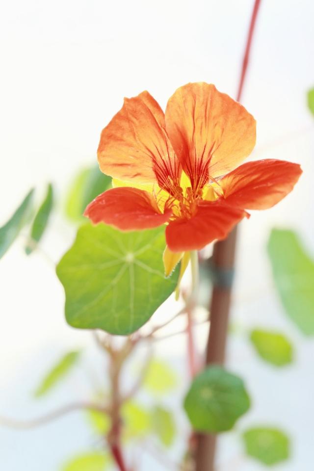 大三元|作为摄影爱好者因为出门没有大三元而被设备控们嘲笑，丢人吗？