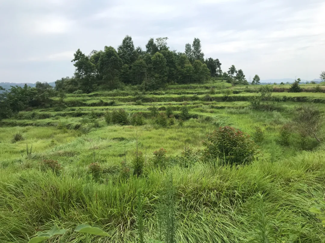 |风水寻地记，如玉盘之高山窝穴阴宅风水美地分享（多图）