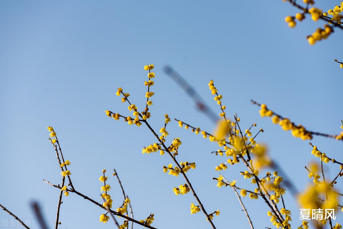 夏晴风|谁能真正陪你到最后(很心酸)