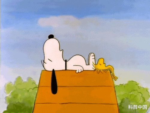 睡眠|一女生睡姿不对导致脊柱侧弯！睡觉究竟侧卧好，还是平躺好？