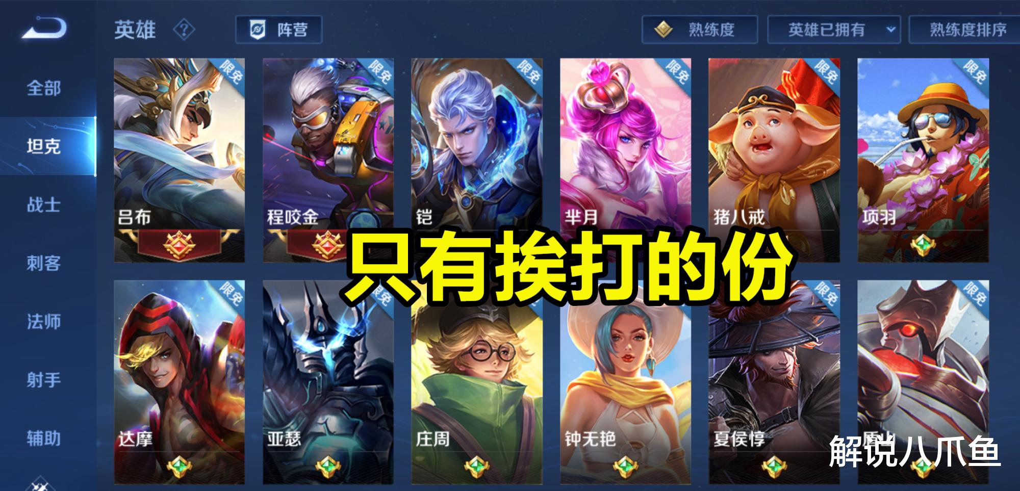 王者荣耀：坦克英雄无法带飞，只有挨打的份，我之前也是这种想法