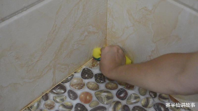 赛半仙讲故事 卫生间出现的小飞虫对人有影响吗?窗户常年不开,为何仍会出现?