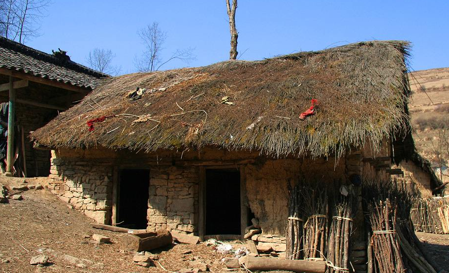 诚然命理|这2个生肖，不遇水木，就是贫穷乞丐命！