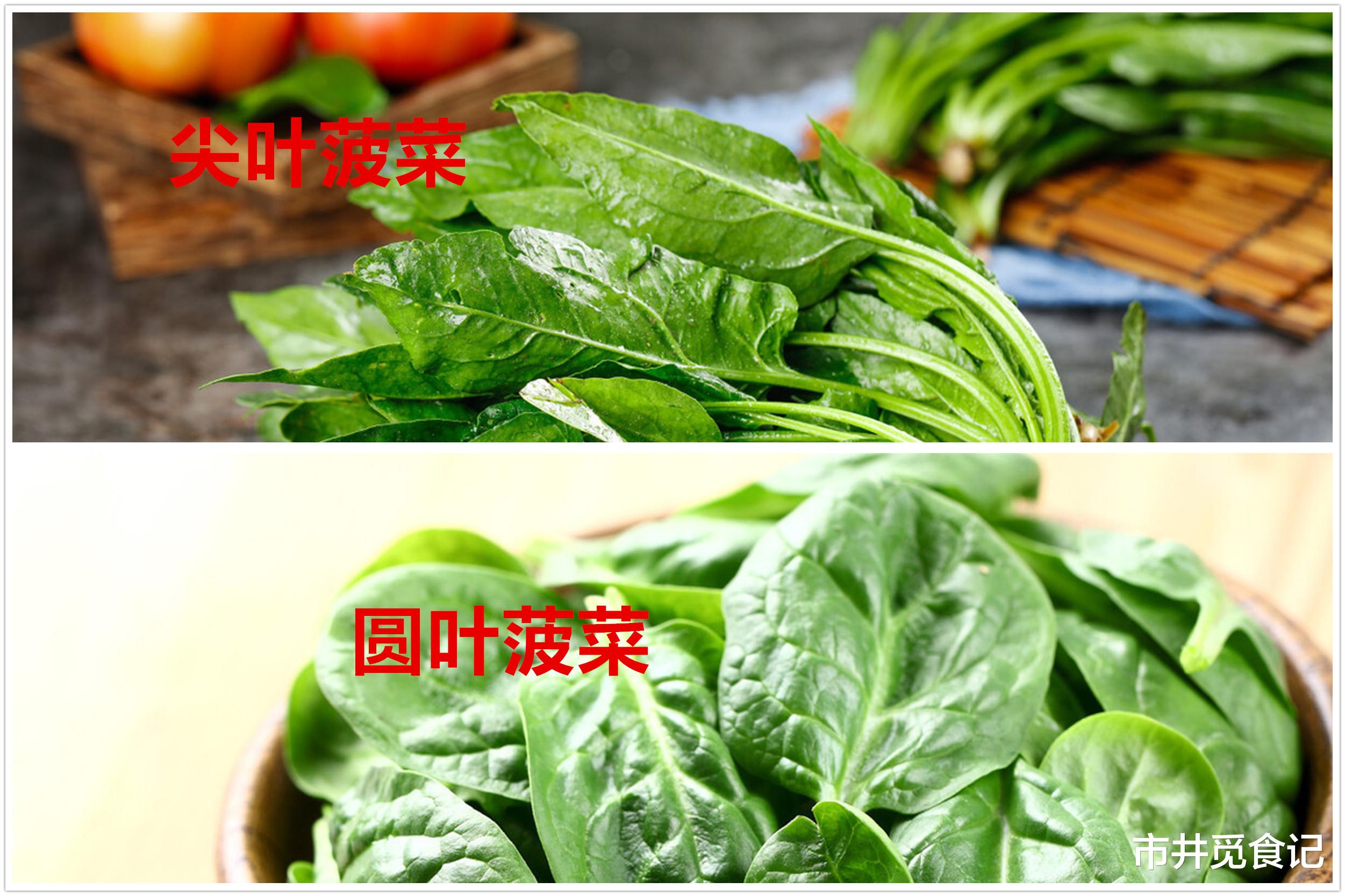 菠菜|买菠菜,要区分“圆叶”和“尖叶”,很多人不懂,买错发涩不好吃