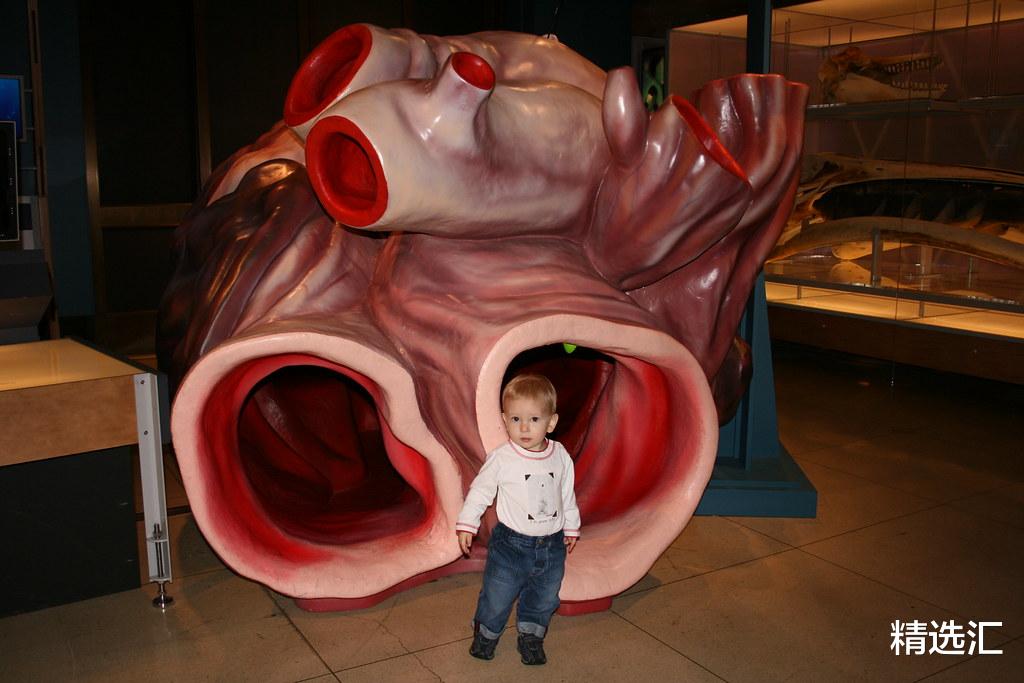 仙人掌 让很多人意想不到的8种生物的真实巨型版本