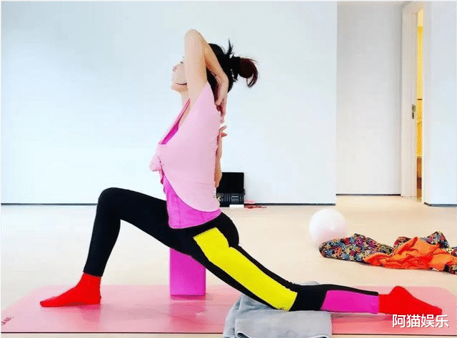 鲍蕾|新春第一天, 谢霆锋和张柏芝又“撞车了”！