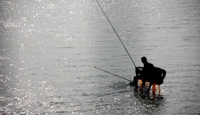 |僵尸鱼？此鱼无头却还活着，网友：入侵物种太可怕了