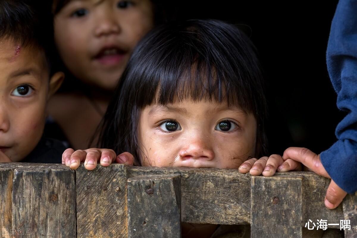 心海一隅 15岁女孩服药自杀后报警要捐献器官：多少孩子被父母养到绝望无助？