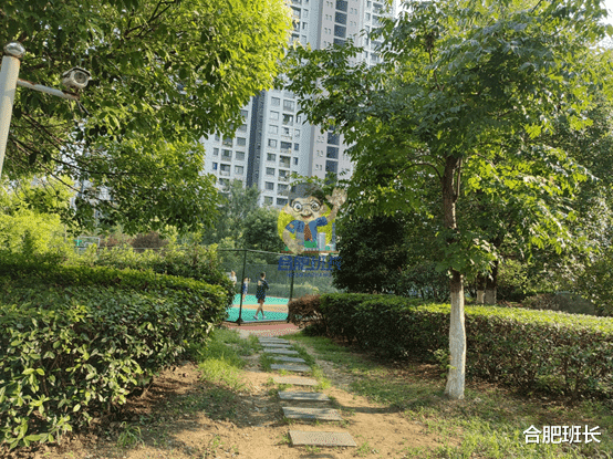 |滨湖二手房天花板，实探46和师范附小双本部的书香门第！