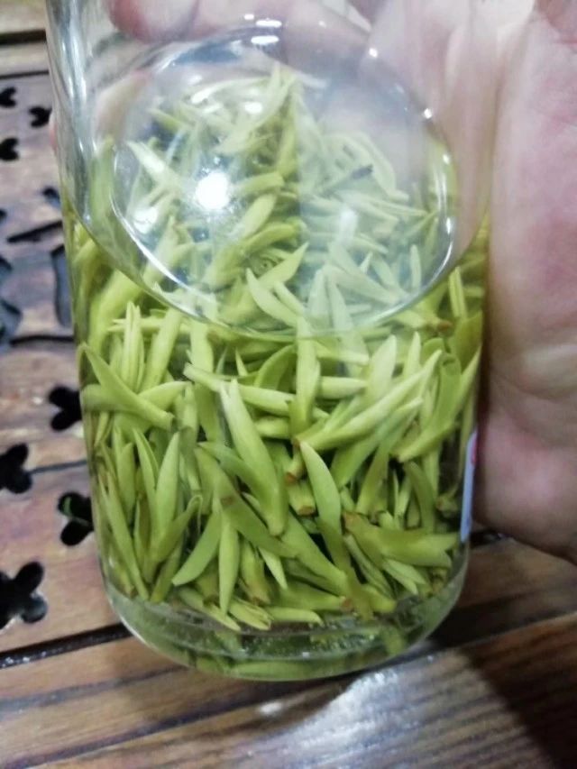  “乌牛早”与“西湖龙井”有什么区别？