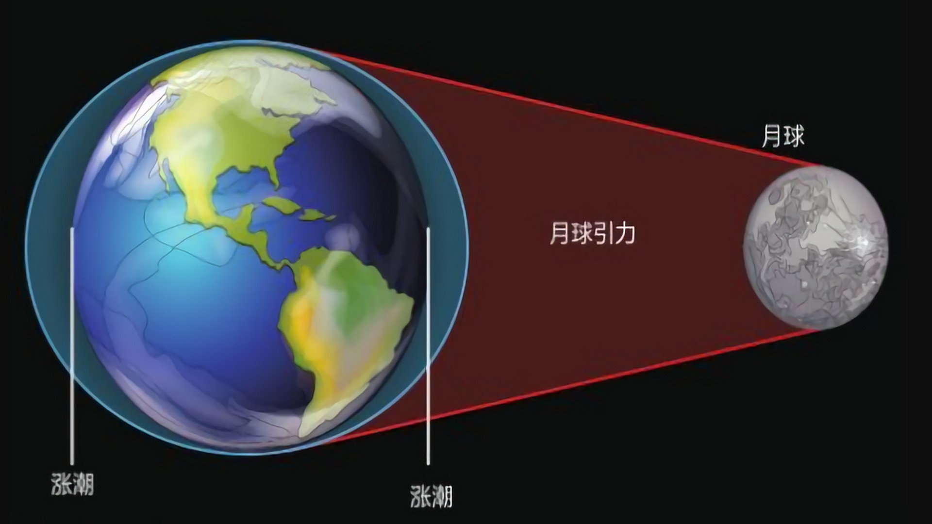 科学 为什么人们看到的月亮都是一个样？难道说月亮不会自转吗
