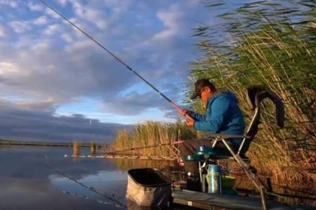 饵料|提竿不是跑鱼就是被切线，老钓手教你小妙招