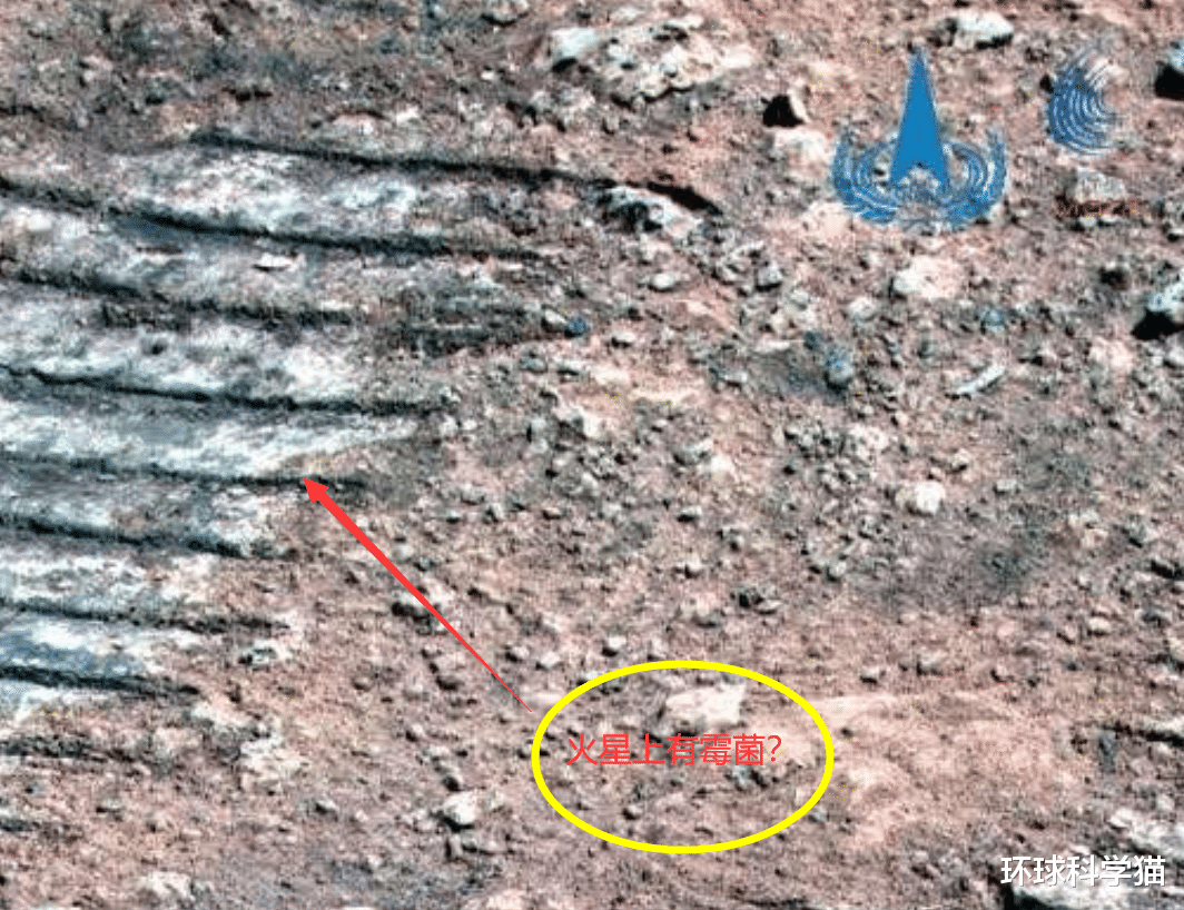 火星 祝融号传回新火星图，为何岩石上有像“霉菌”的东西，是真的吗？