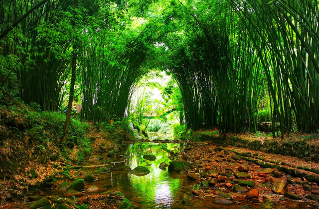 四川省 四川改名最成功的景区，改名前无人问津，改后游客络绎不绝