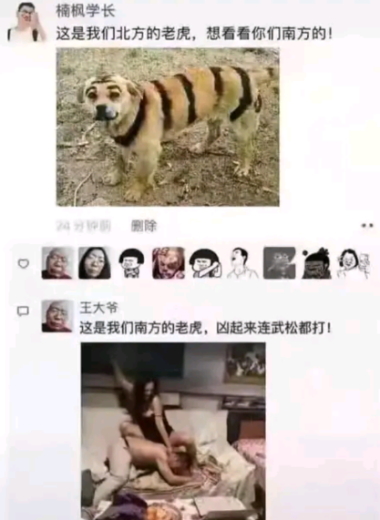 自己画的驾驶证见过没,交警拦下车主发现驾照是车主亲自画的