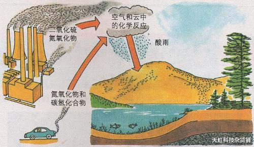|你对酸雨了解多少?