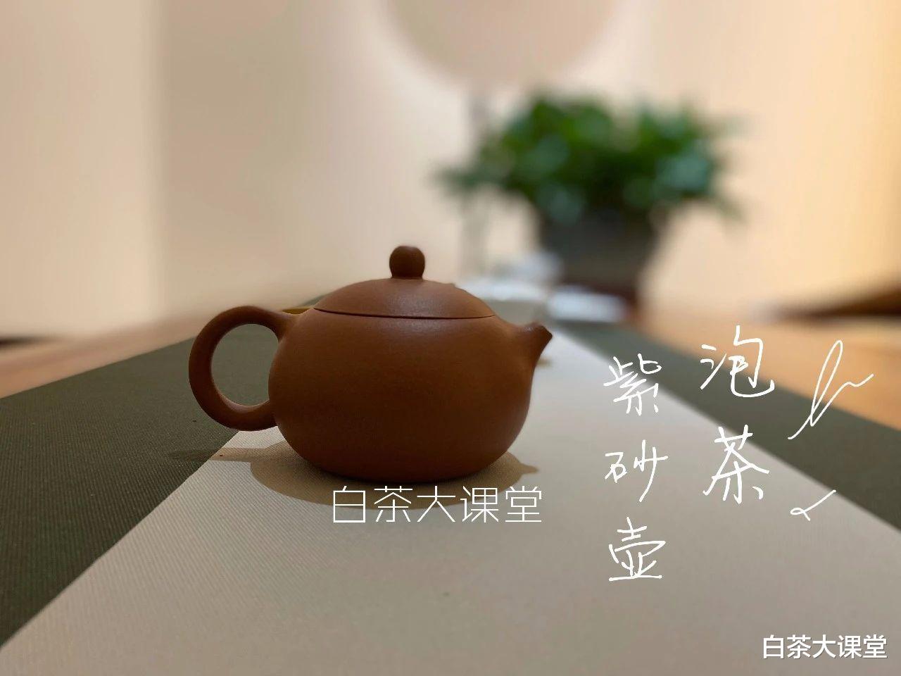 茶具|玻璃杯、白瓷盖碗、紫砂壶，哪个更适合冲泡老白茶？