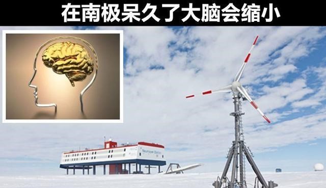 化石 冷知识普及：9个生活中的有趣事实，即便“真学霸”都未必知晓