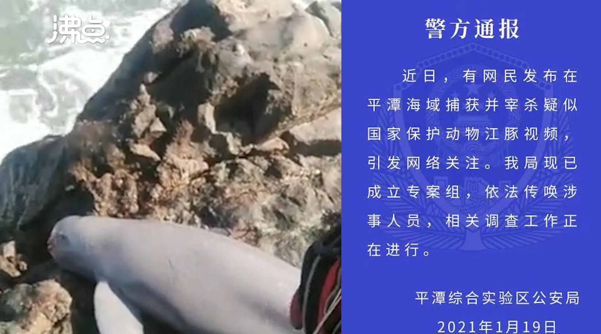 江豚|21年最“凶残”钓鱼人出炉，如此嚣张捕杀江豚，还有正义吗