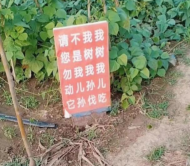 舜网 各位大神，这个标语到底该怎么读，王者般的操作啊，太迷惑了......