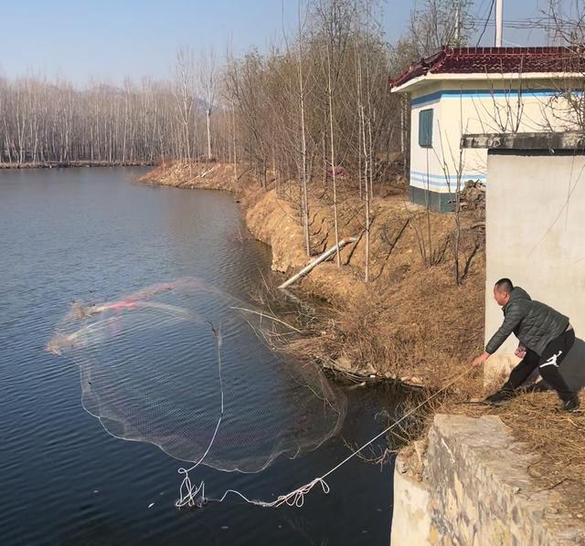 山东省|山东一男子因钓不到鱼，便撒网抓了几十条，网友：钓鱼人绝不走空