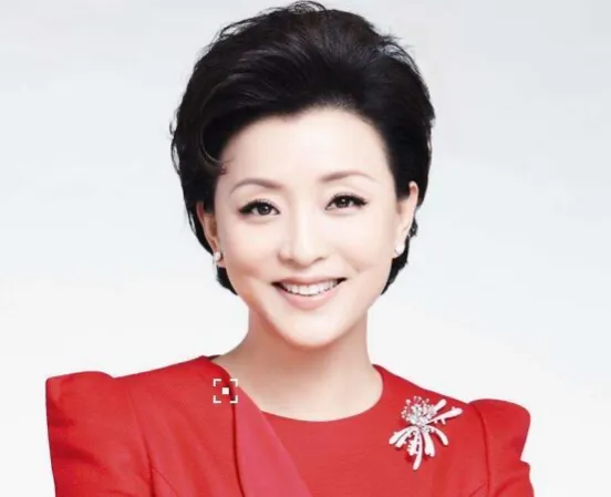 杨澜|杨澜和丈夫离婚后，转身嫁给体重200多斤，身价百亿的大富豪