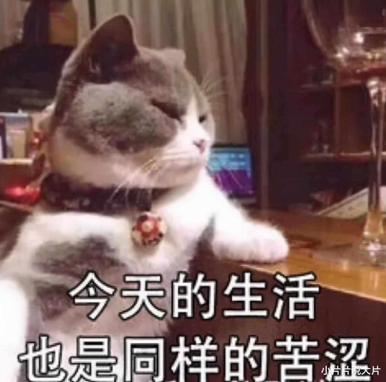 玛丽苏|她一「发疯」，直接收视第一！