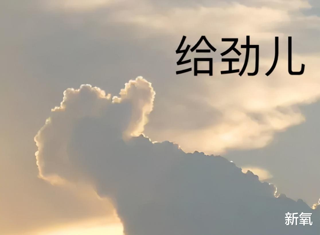 pcl|她红了之后完美避开了韩国的发酵魔法！