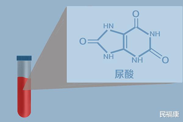 尿酸|尿酸水平为何会升高？尿酸升高后，应该如何应对？