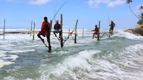 扬州|世界上最难的钓鱼方式,坐在木桩上,一天钓几十斤鱼,你想学吗