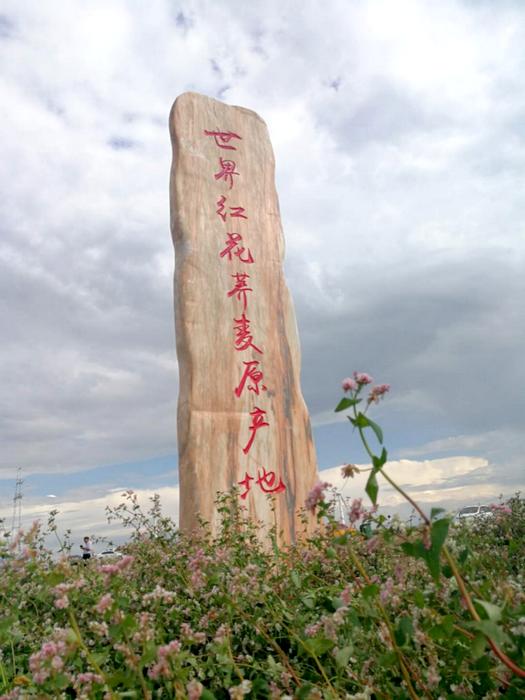 榆林资讯 油房庄乡孵化乡村“微企业” 振兴产业“大成就”