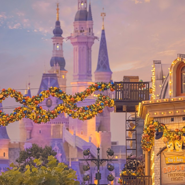 女孩|惊艳你整个青春的神仙追星文案