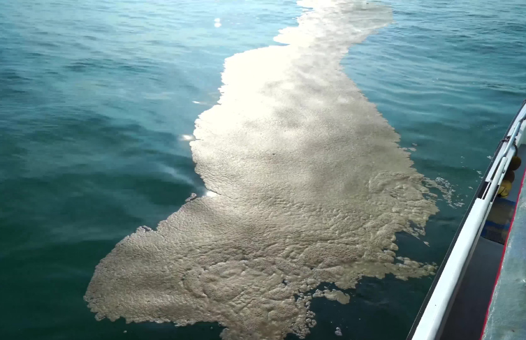 科学家 海洋最深处有什么？科学家水下1万多米发现奇怪物质，警钟已敲响